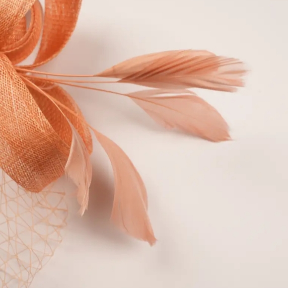Elegant Coral Lace Veil Dotted Fascinator Feathers Ribbon Headband Tea … - Picture 2 of 2